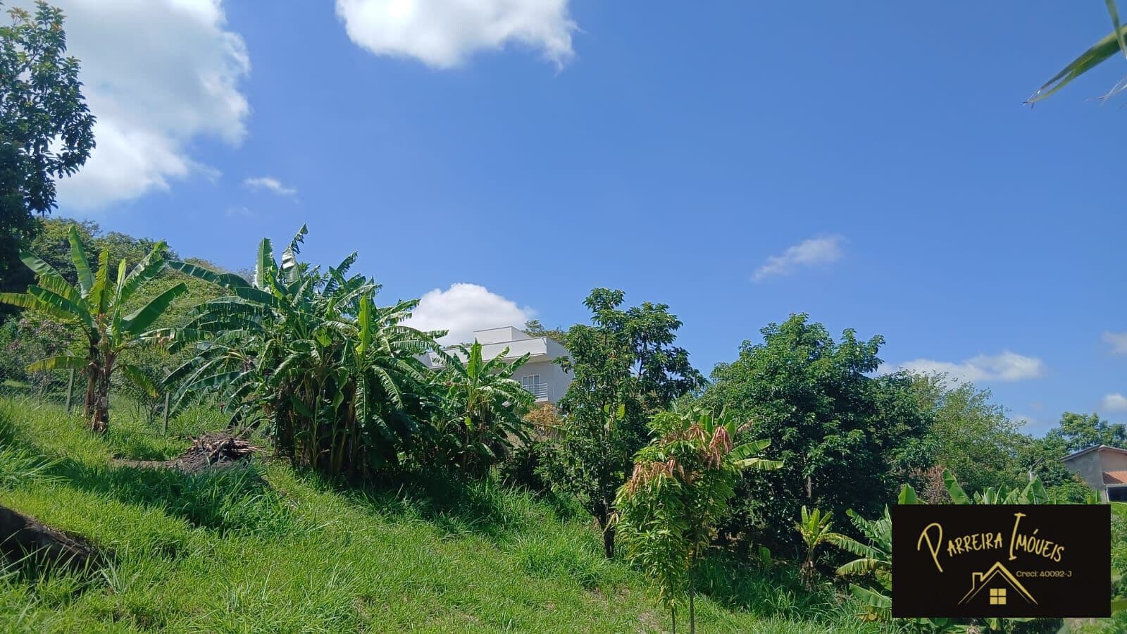 Fazenda/Sítios/Chácaras em Valinhos - Colina dos Pinheiros