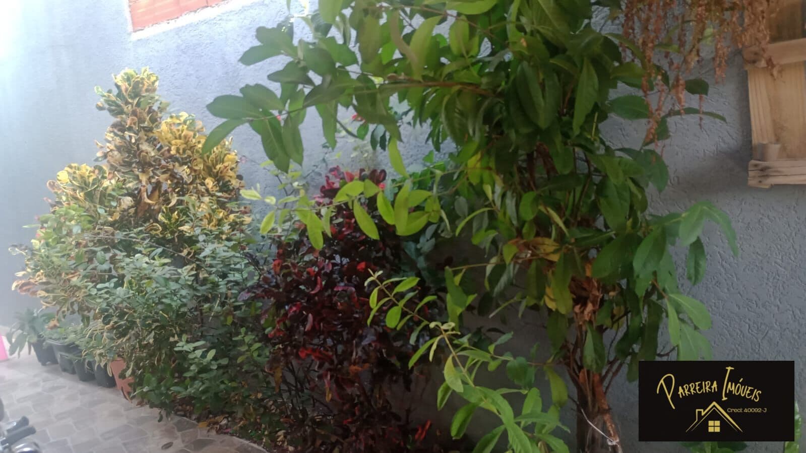 Casa Padrão completa no Residencial Flávia!