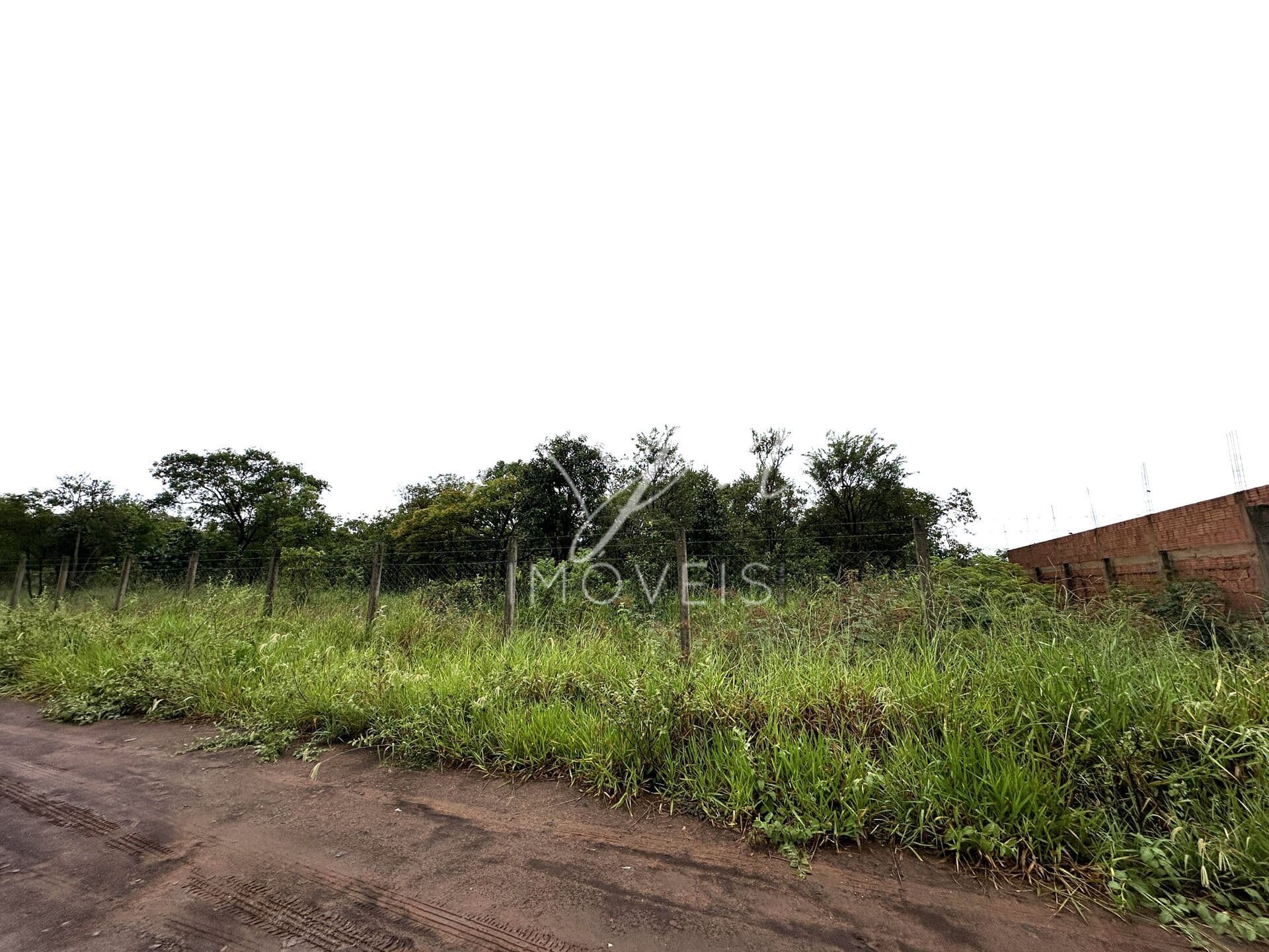 Área Rural com 2 ha br 163 saida para Sao Paulo em Campo Grande, MS