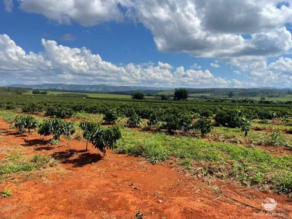 FAZENDA EM PIUMHI/MG