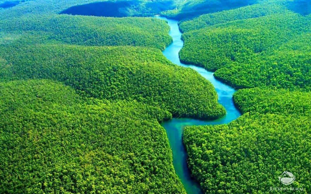 ÁREA NA AMAZÔNIA OCIDENTAL/AM