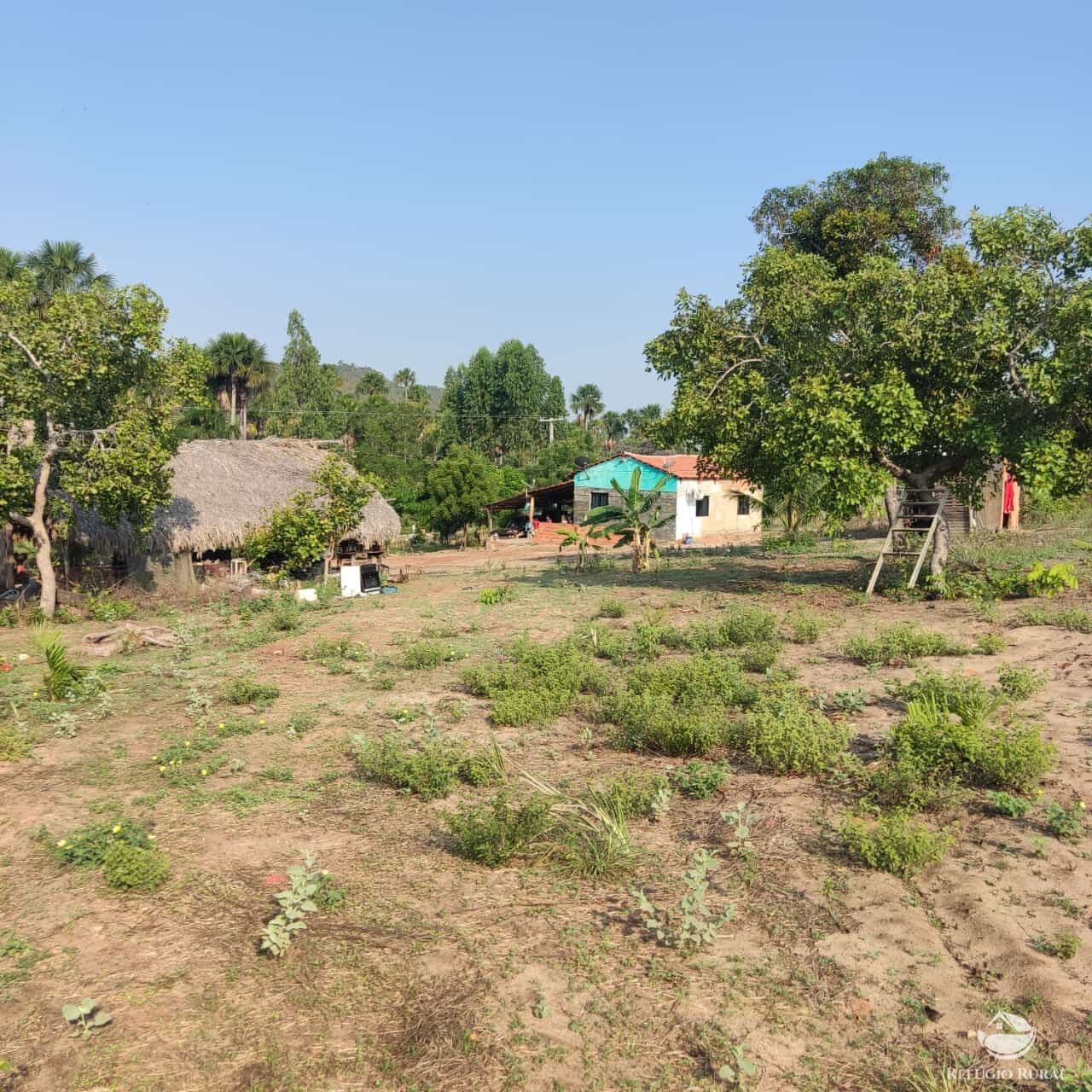 FAZENDA EM LORETO/MA