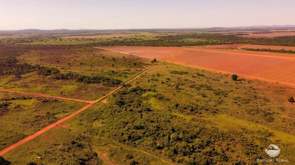 FAZENDA EM VILA RICA/MT