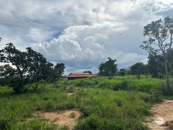 FAZENDA EM BURITIS/MG