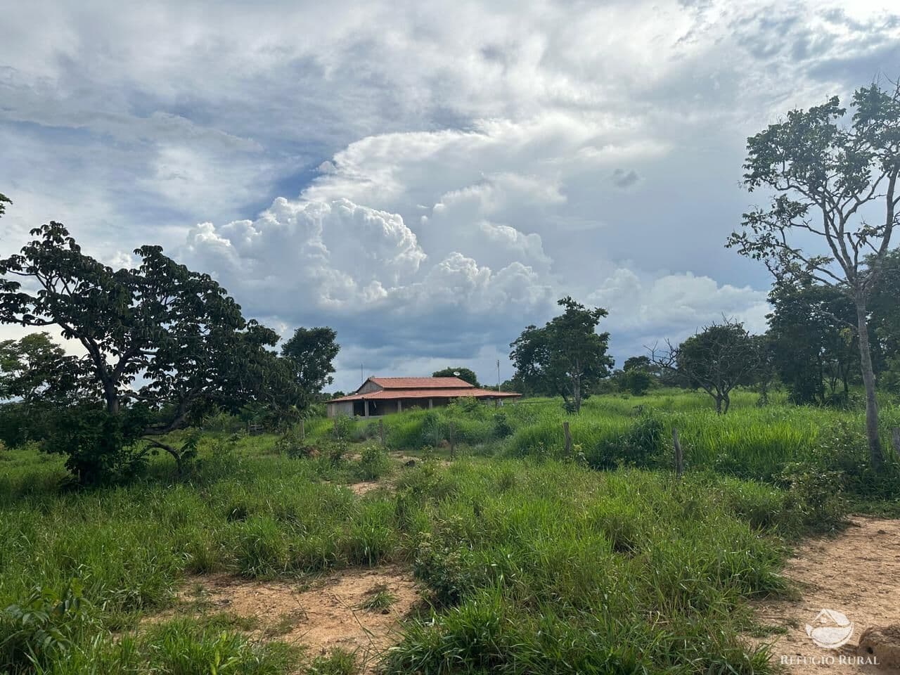 FAZENDA EM BURITIS/MG