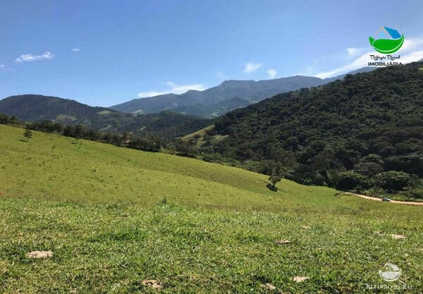 SÍTIO EM SAPUCAÍ-MIRIM/MG