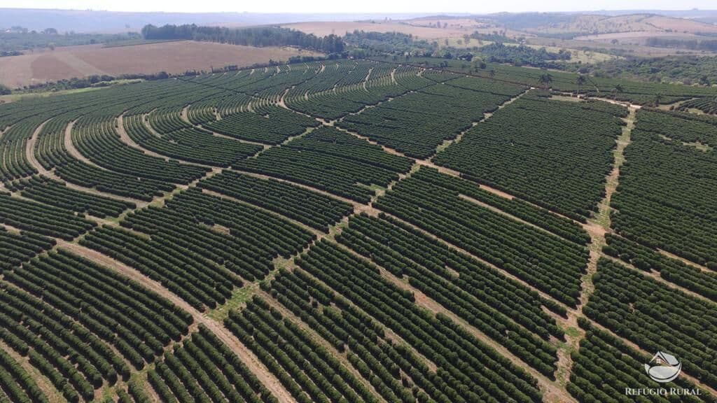 EXCELENTE FAZENDA DE CAFÉ À VENDA EM IBIÁ/MG