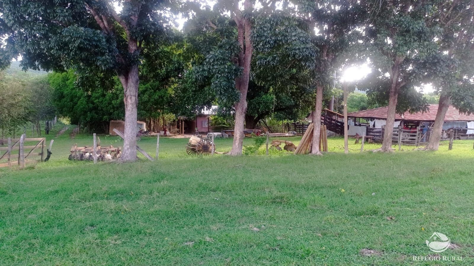 FAZENDA EM GOIÁS/GO