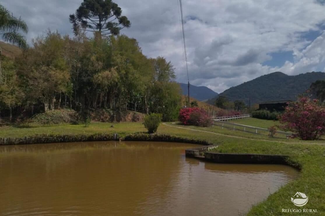 SÍTIO ESPETACULAR EM SAPUCAÍ MIRIM/MG