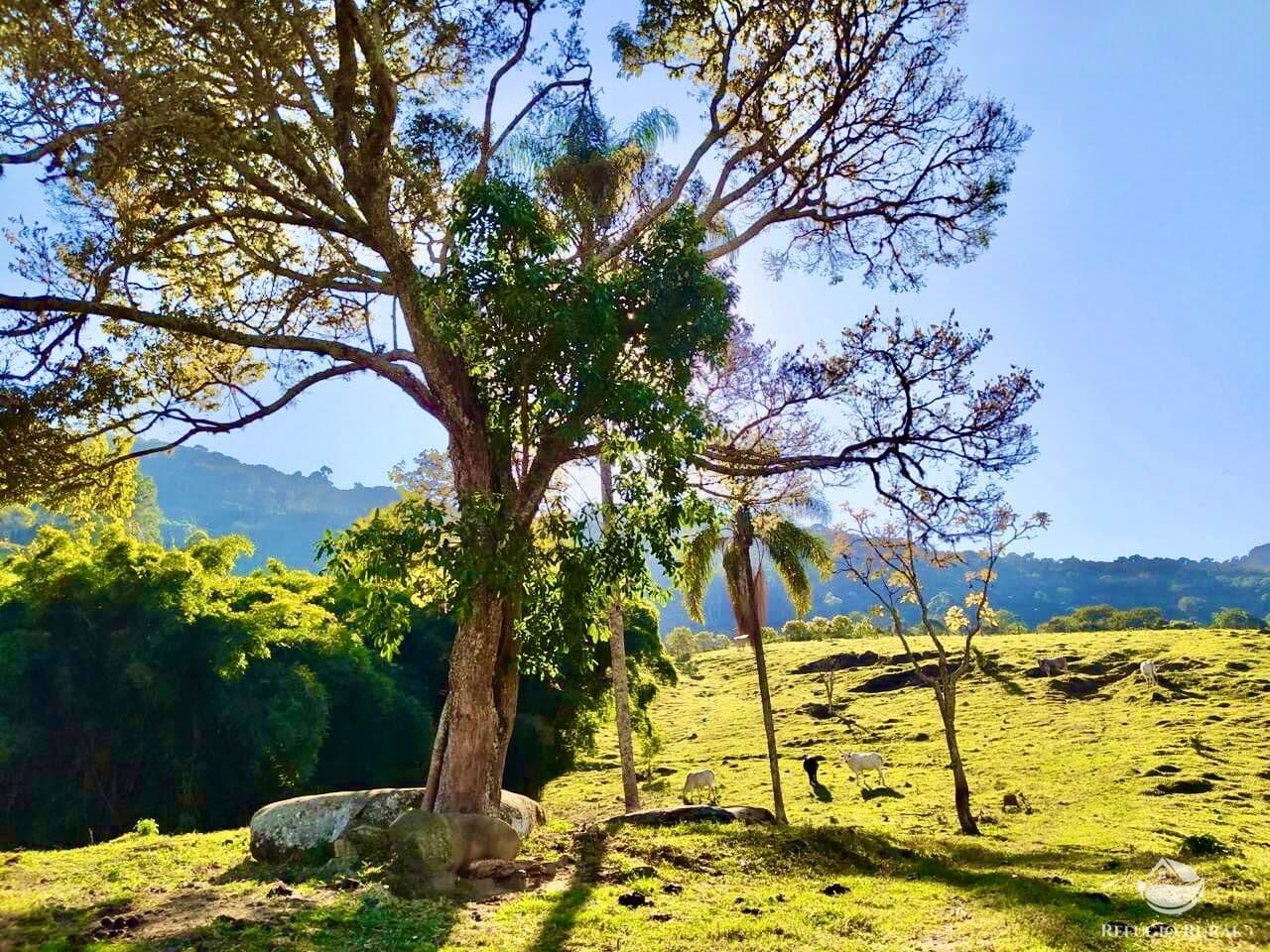TERRENO EM SÃO BENTO DO SAPUCAÍ/SP