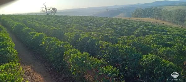 FAZENDA EM MONTE BELO/MG