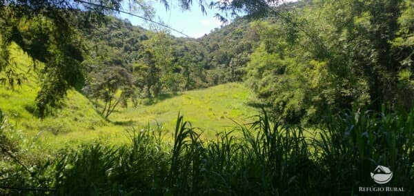 TERRENO PRÓXIMO AO CENTRO COM MATA PRESERVADA, RIACHO E CACHOEIRA