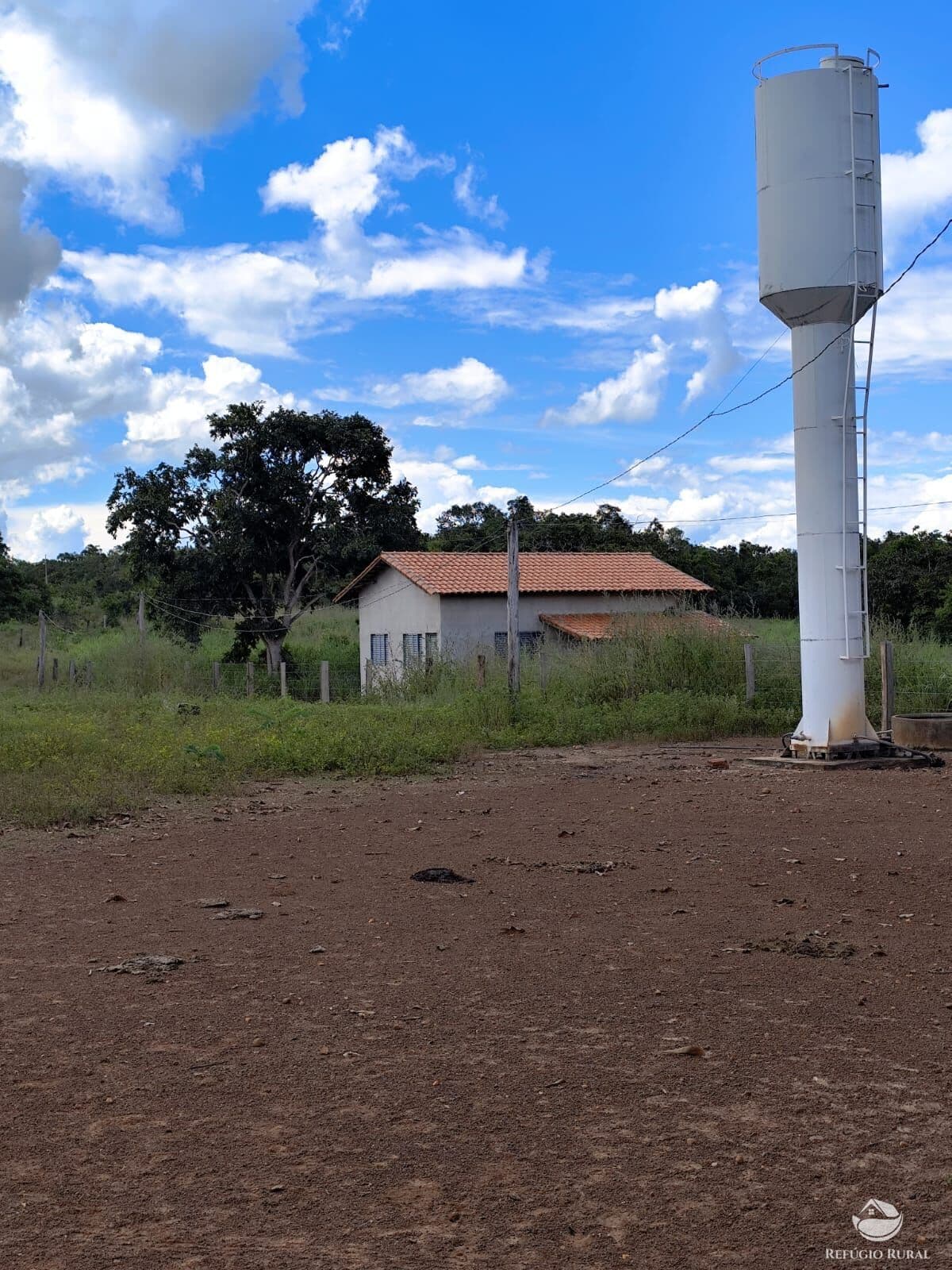 FAZENDA EM ALVORADA/TO