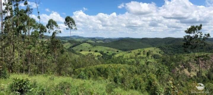 FAZENDA - GLEBAS RURAIS EM SANTA BRANCA/SP