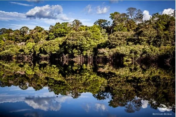 FAZENDA EM MANICORÉ/AM