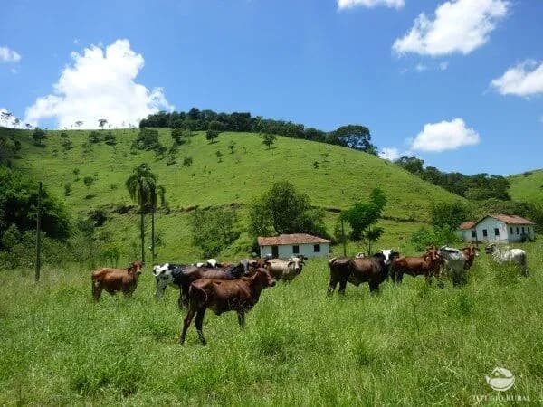 SÍTIO EM CUNHA/SP