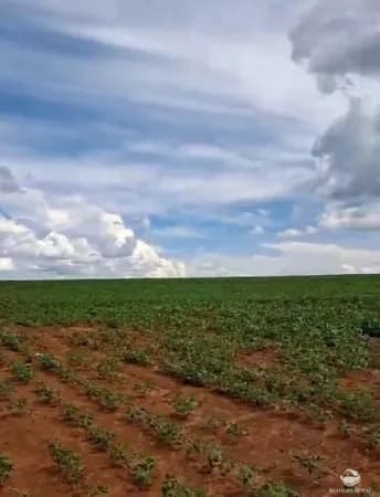 FAZENDA EM MORRINHOS/GO