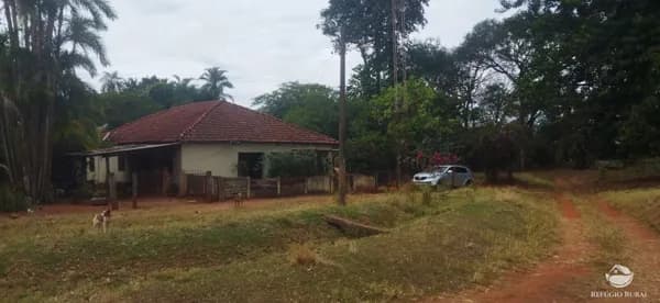 FAZENDA EM FRUTAL/MG
