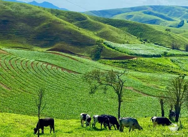 FAZENDA EM SÃO JOSÉ DO BARREIRO/SP