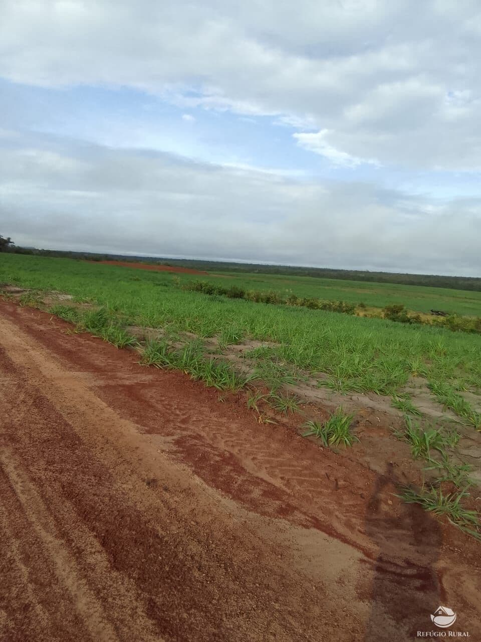 FAZENDA EXCELENTE COM ÓTIMA ESTRUTURA LOCALIZADA EM CENTENÁRIO/TO