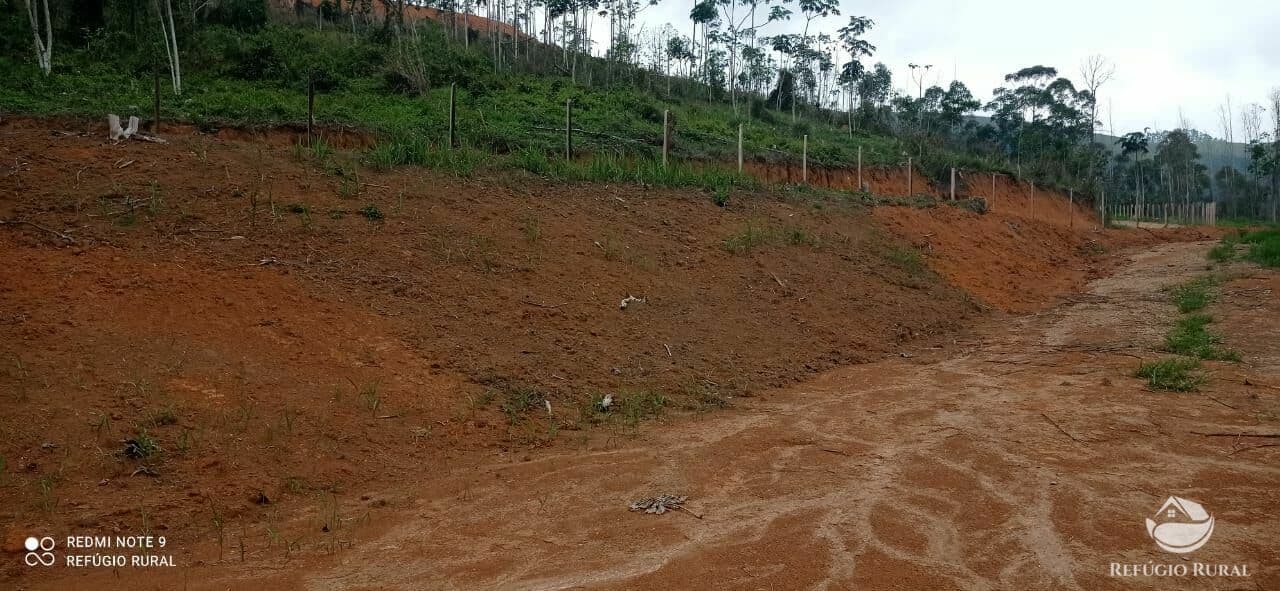 TERRENO B FORROS MONTEIRO LOBATO