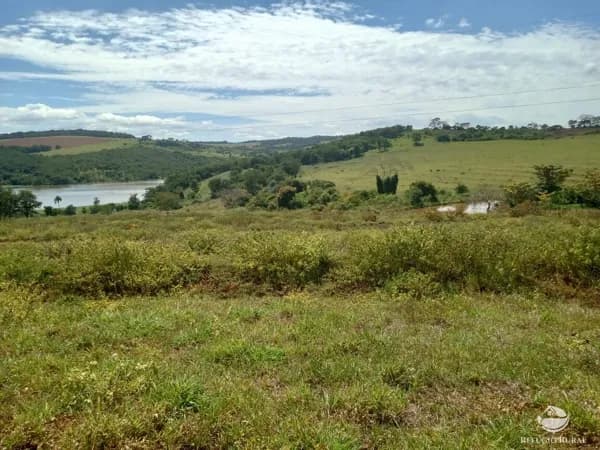 FAZENDA EM UBERLÂNDIA/MG