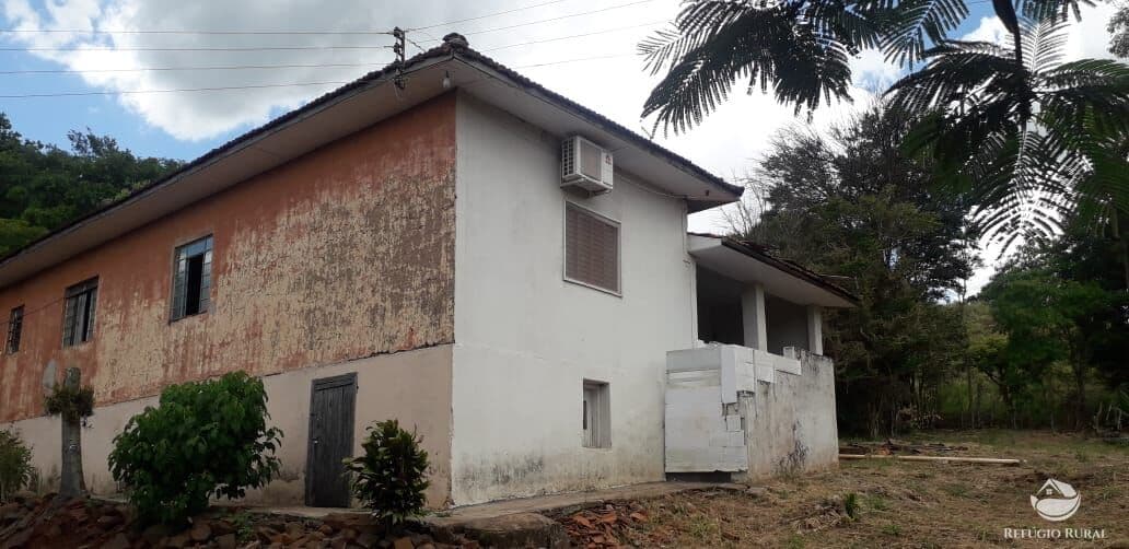 SÍTIO COM 2 CASAS E NASCENTE DE ÁGUA EM CORNÉLIO PROCÓPIO/PR