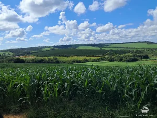 FAZENDA EM CRISTAIS/MG