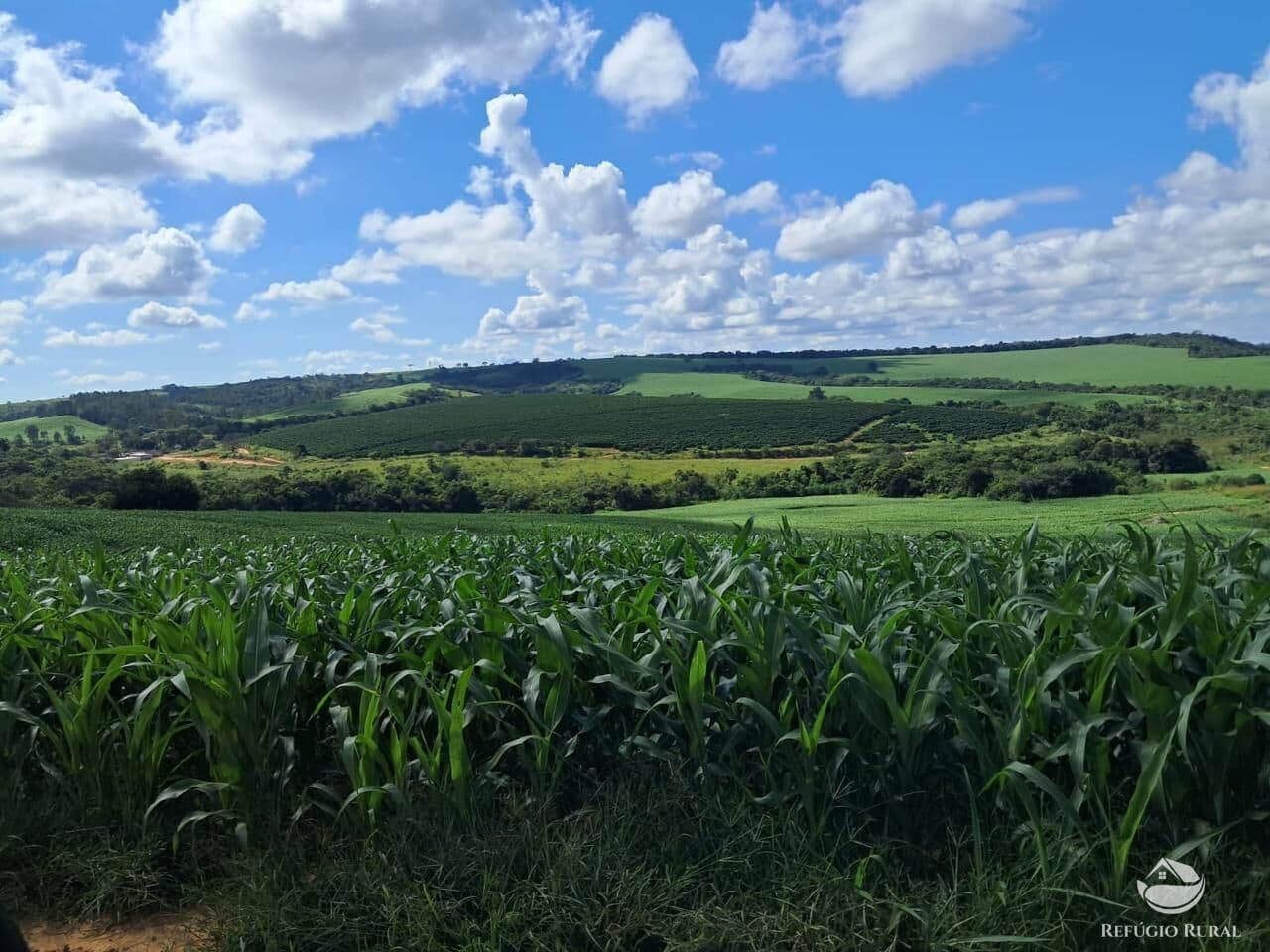 FAZENDA EM CRISTAIS/MG