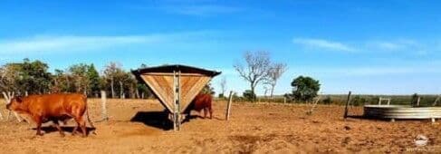 FAZENDA EM SÃO VALÉRIO DA NATIVIDADE/TO