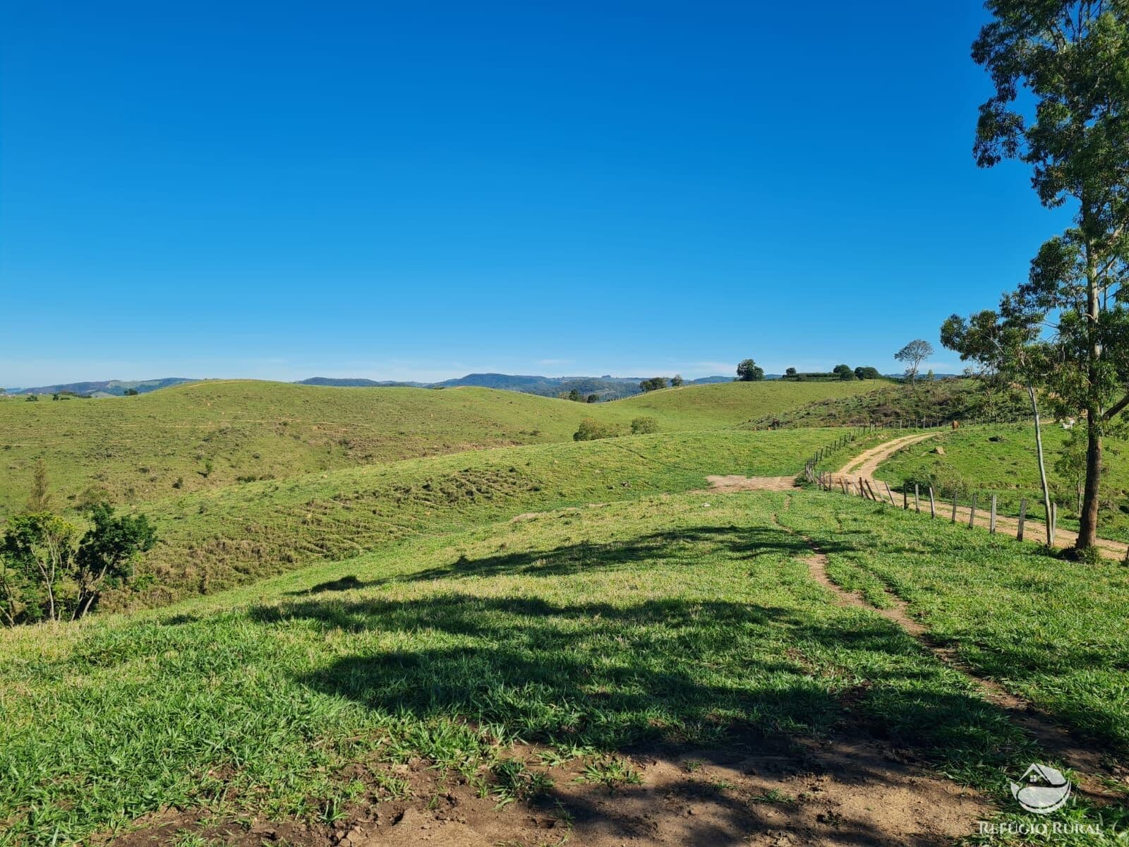 FAZENDA EM JACUTINGA/MG