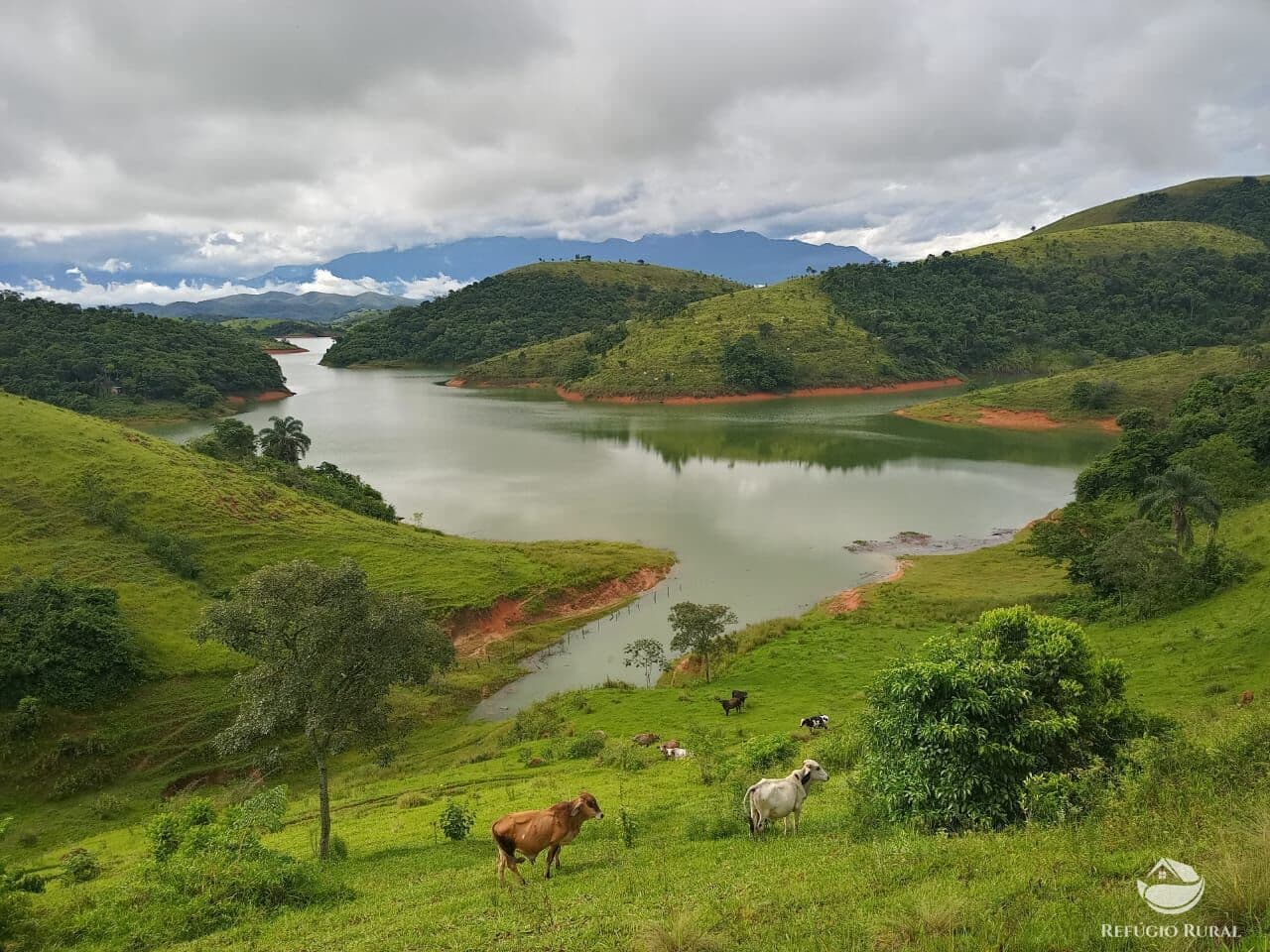 FAZENDA IMPERDÍVEL EM RESENDE/RJ