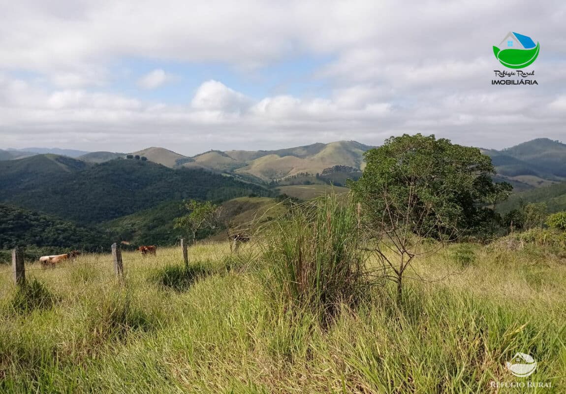 FAZENDA EM SÃO JOSÉ DOS CAMPOS/SP