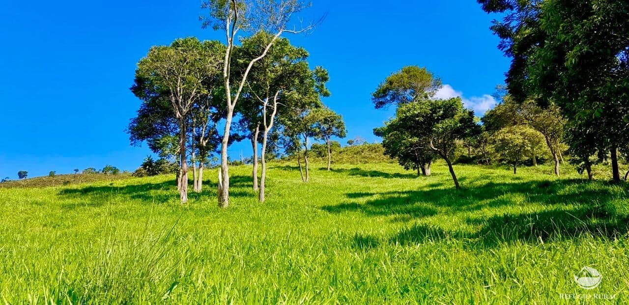 LINDO SÍTIO COM RIO ENCACHOEIRADO NA SERRA DA BOCAINA
