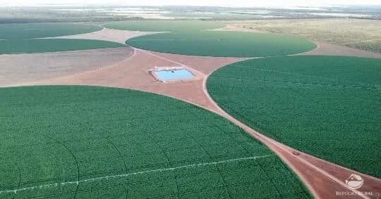 FAZENDA EM PARACATU/MG