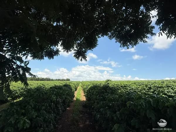 FAZENDA EM PIUMHI/MG