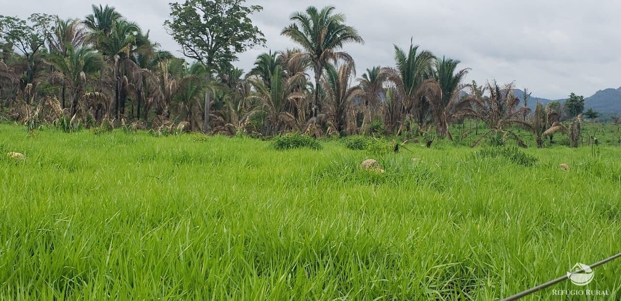 FAZENDA EM RECURSOLÂNDIA/TO
