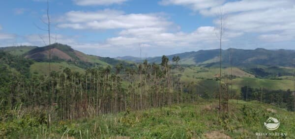 TERRENO COM FÁCIL ACESSO EM MONTEIRO LOBATO