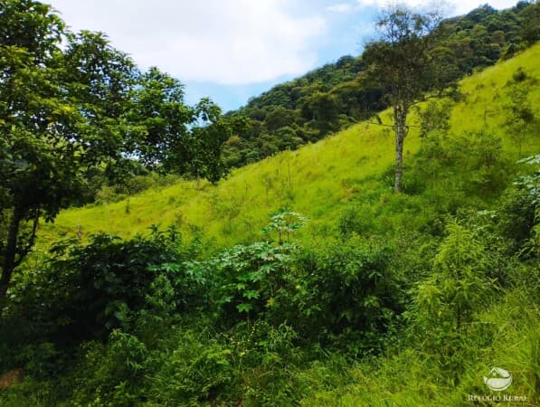 TERRENO COM LINDA VISTA, ACESSO FÁCIL A 6 KM DO CENTRO DE SFX