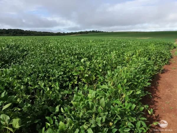 FAZENDA EM SÃO JOSÉ DO COUTO/MT
