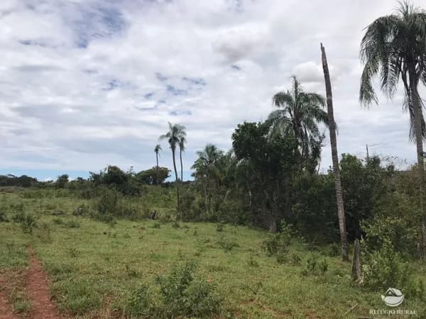 FAZENDA INCRÍVEL EM FIGUEIRÃO/MS