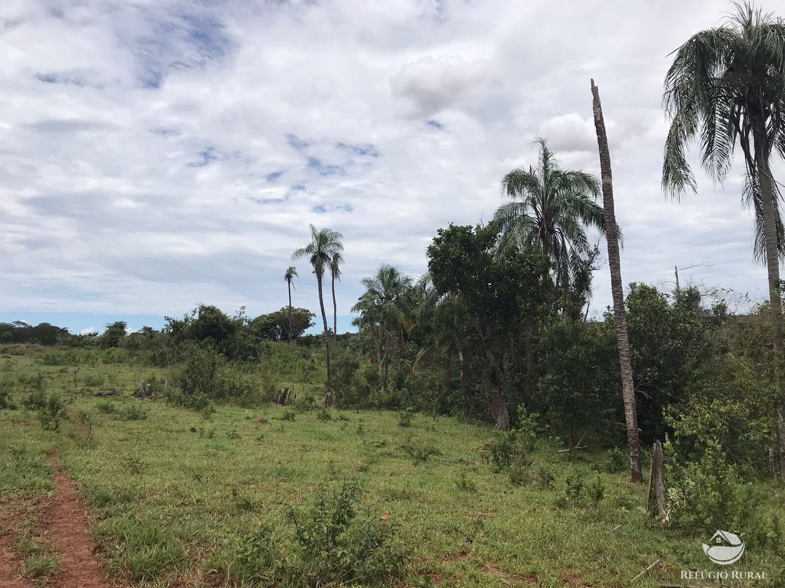 FAZENDA INCRÍVEL EM FIGUEIRÃO/MS