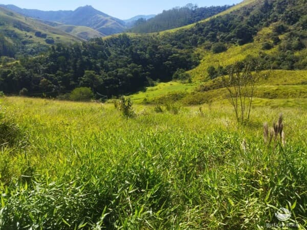 TERRENO EM SÃO FRANCISCO XAVIER COM NASCENTE E LINDA VISTA