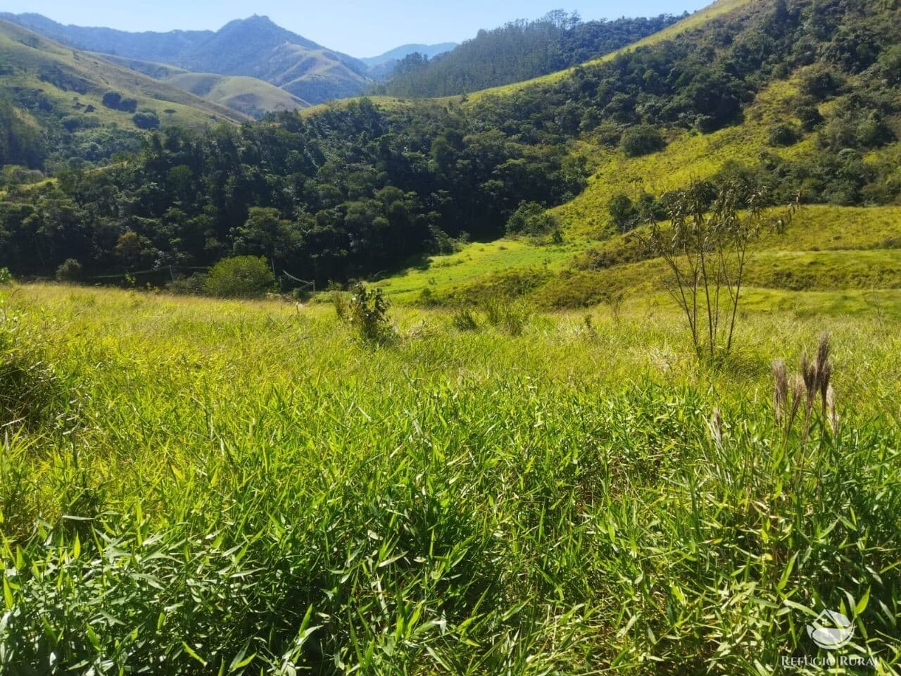 TERRENO EM SÃO FRANCISCO XAVIER COM NASCENTE E LINDA VISTA