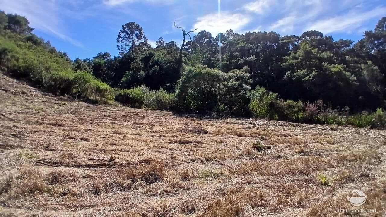 CHÁCARA EM GONÇALVES/MG