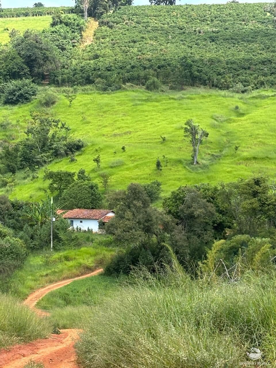 FAZENDA EM ELÓI MENDES/MG