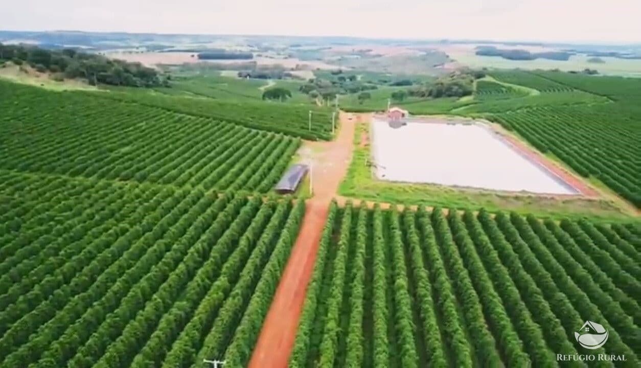 FAZENDA DE CAFÉ EM PATOS DE MINAS/MG