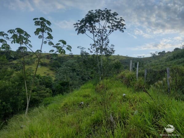 TERRENO COM NASCENTES, FÁCIL ACESSO, PRÓXIMO A COMÉRCIOS EM SJC