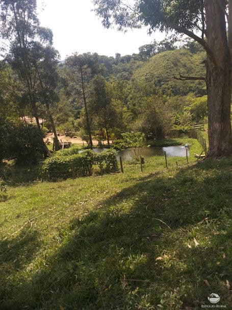 FAZENDA EM MONTEIRO LOBATO/SP