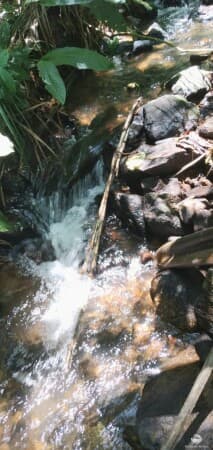 TERRENO GRANDE E BARATO EM MONTEIRO LOBATO